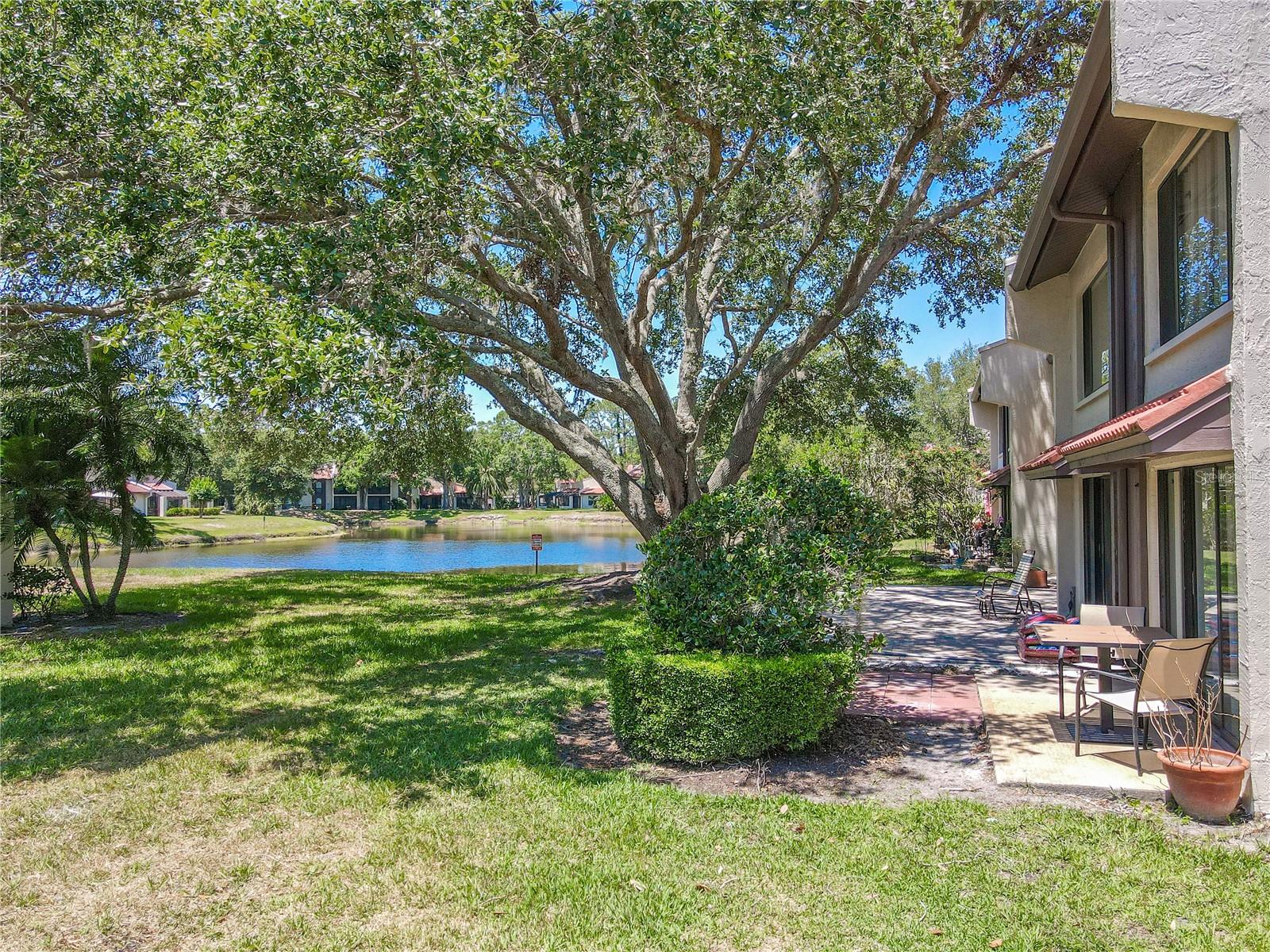 Image 4 of 54 For 3505 Tarpon Woods Boulevard N405