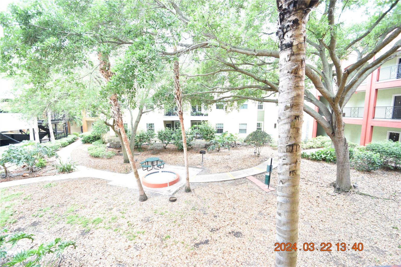 Image 35 of 43 For 1910 Palm Avenue 8302