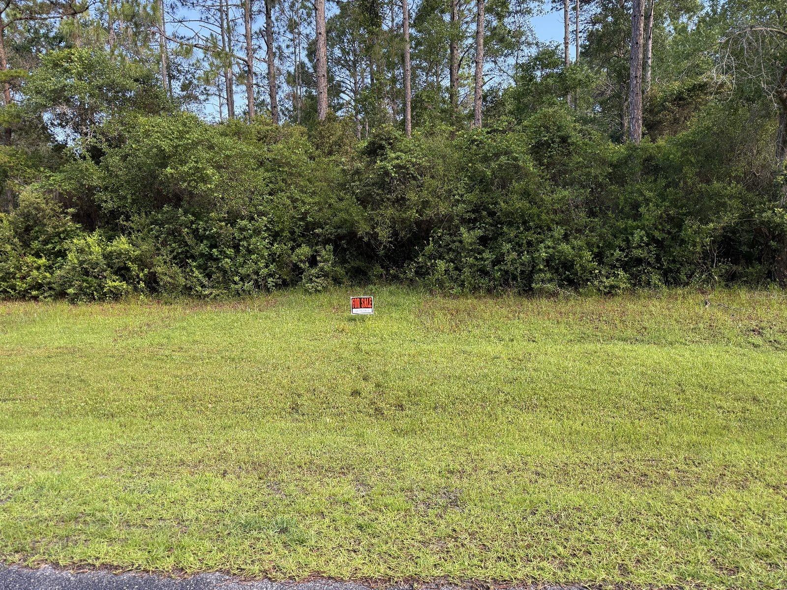 Image 7 of 13 For 315 Gramercy Plantation Boulevard