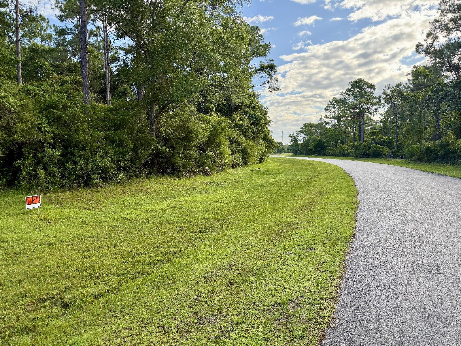 Image 8 of 13 For 315 Gramercy Plantation Boulevard