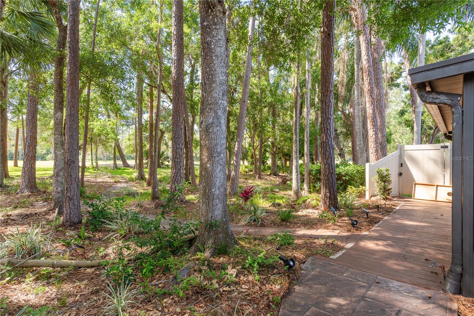 Listing photo id 30 for 3071 Bolt Drive