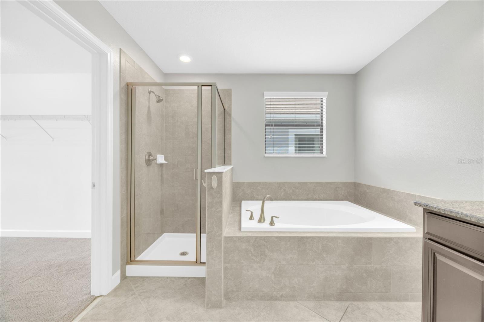 Image 30 of 60 For 1028 Oliveto Verdi Court