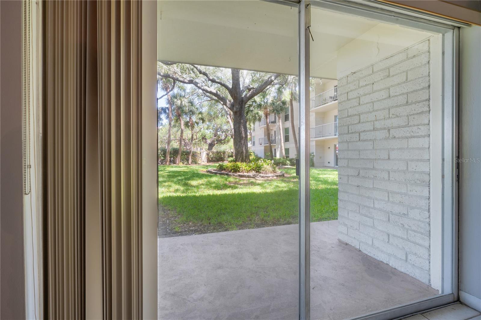 Image 12 of 22 For 3325 Bayshore Boulevard F14