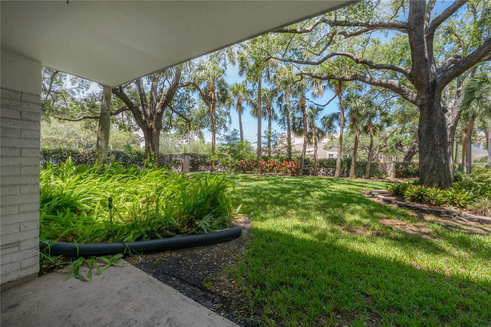 Image 21 of 22 For 3325 Bayshore Boulevard F14