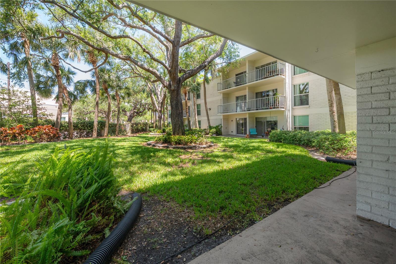 Image 22 of 22 For 3325 Bayshore Boulevard F14