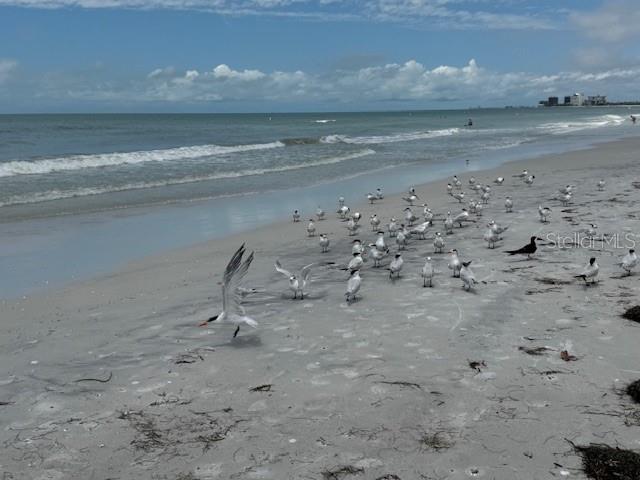 Image 21 of 23 For 4103 Gulf Boulevard 104