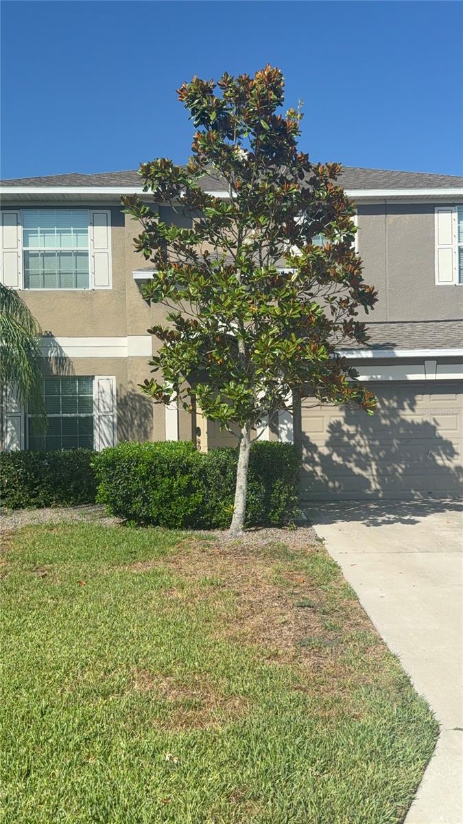 Details for 13752 Tensaw Drive, HUDSON, FL 34669