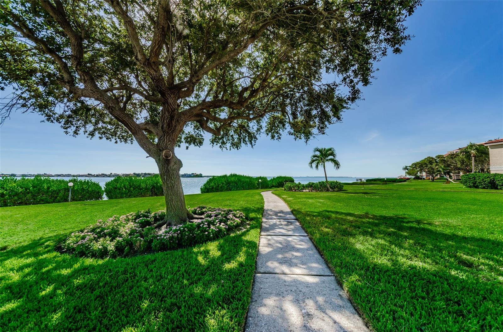 Listing photo id 38 for 6104 Palma Del Mar Boulevard S 605