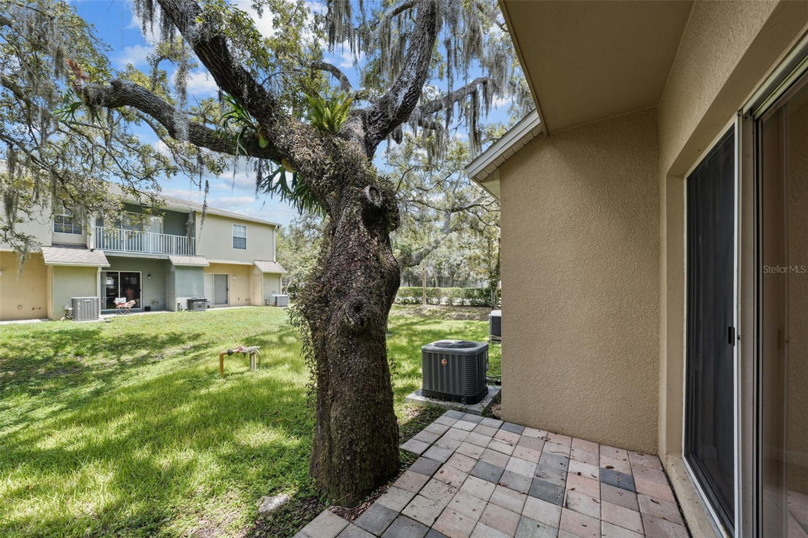 Image 16 of 31 For 5852 Nature Terrace Cove