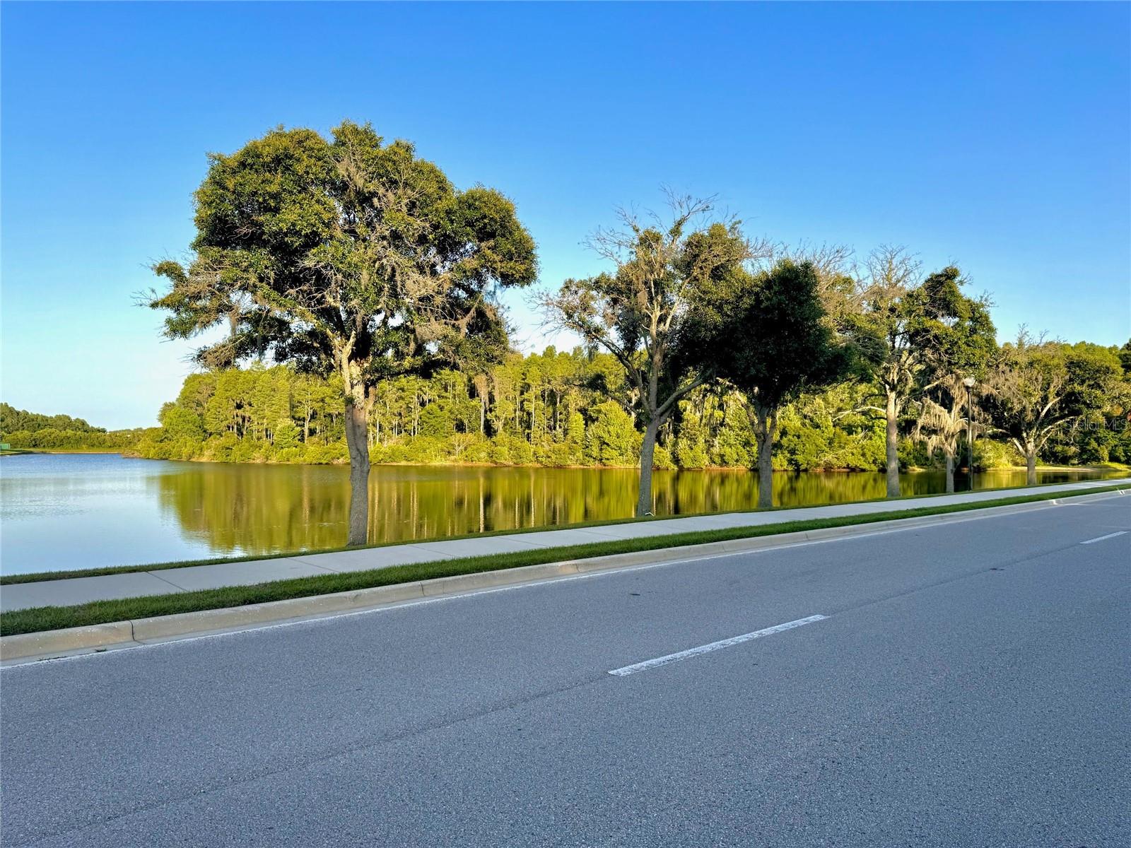 Image 79 of 89 For 1147 Halapa Way