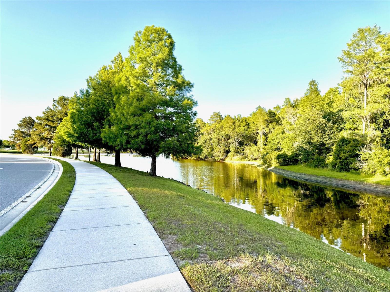Image 86 of 89 For 1147 Halapa Way