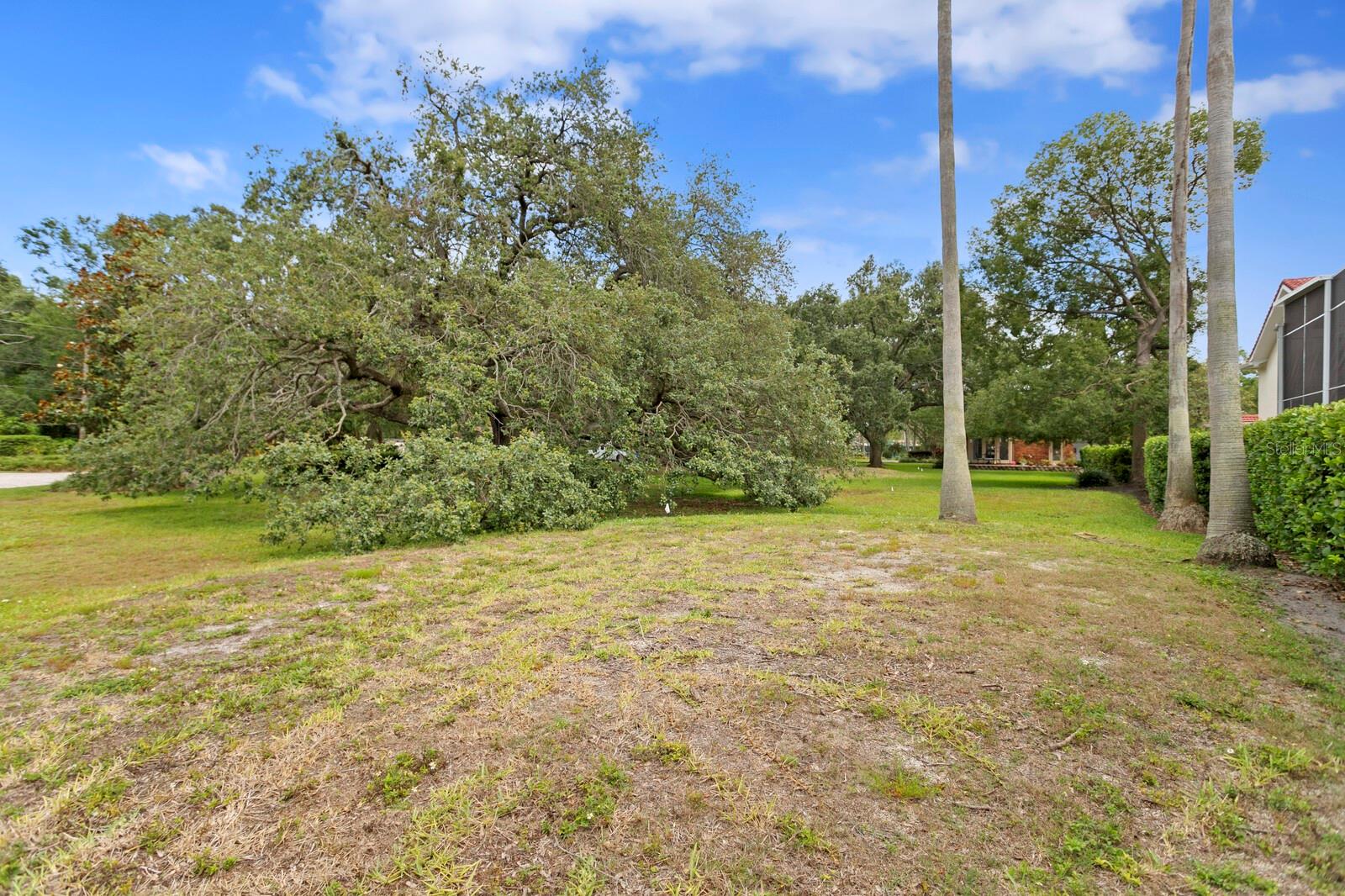 Listing photo id 49 for 3005 Sligh Avenue