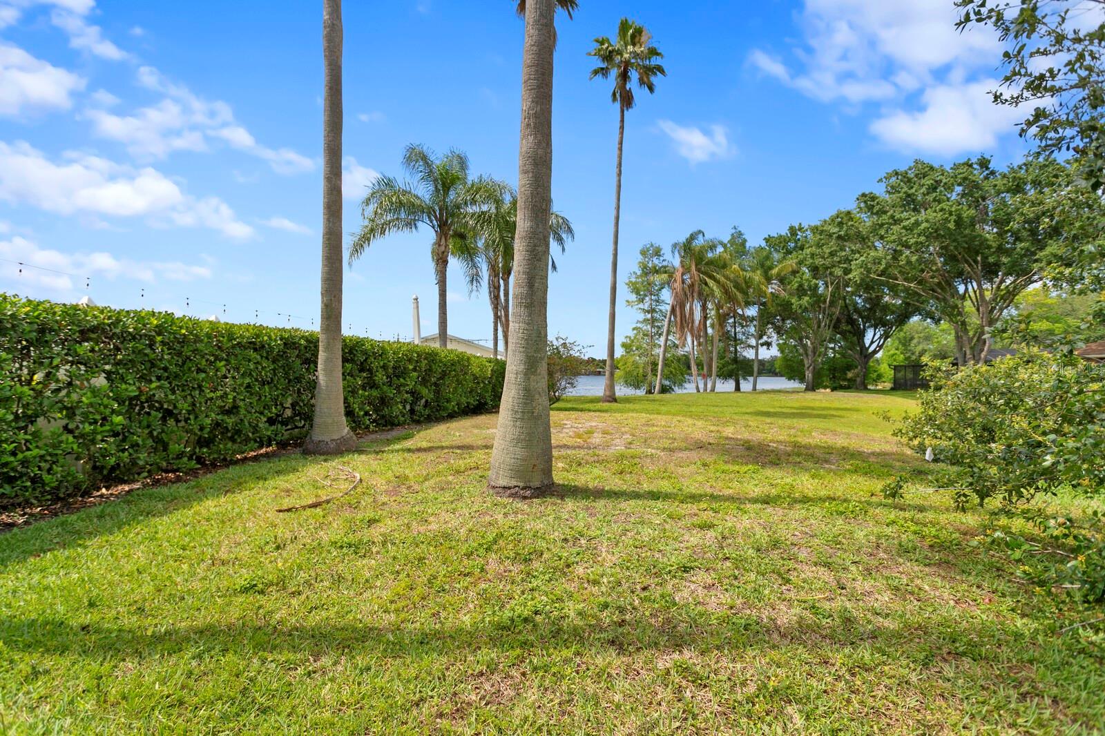 Listing photo id 52 for 3005 Sligh Avenue