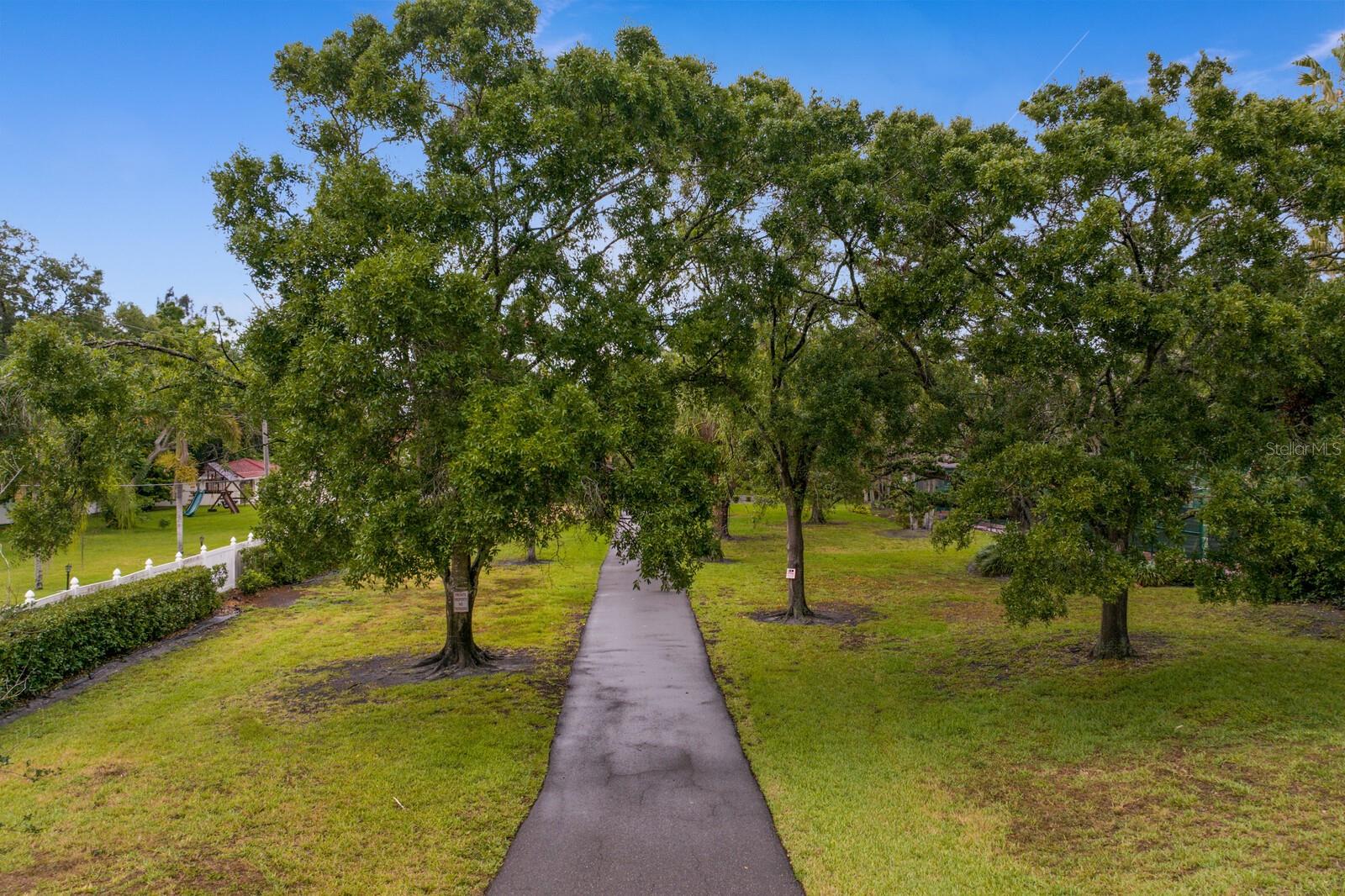 Listing photo id 74 for 3005 Sligh Avenue