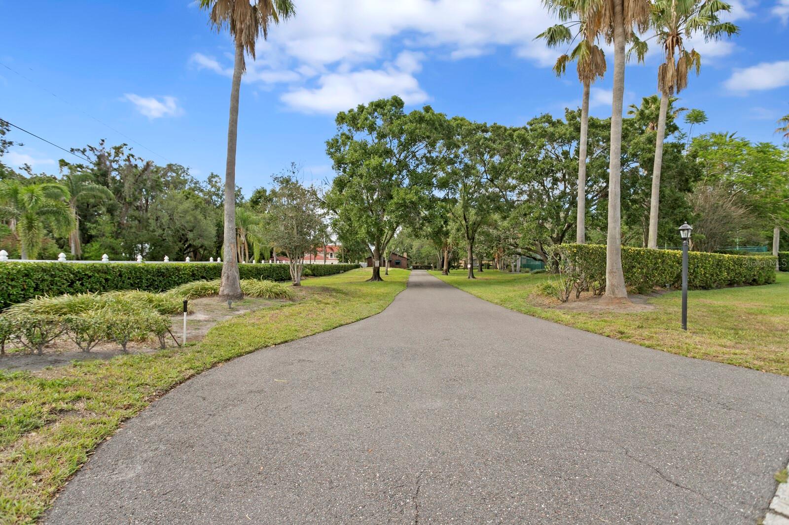 Listing photo id 6 for 3005 Sligh Avenue