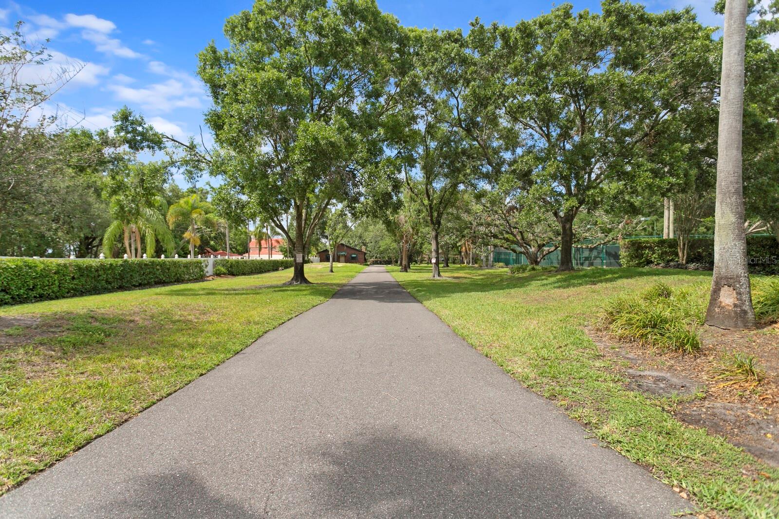 Listing photo id 7 for 3005 Sligh Avenue