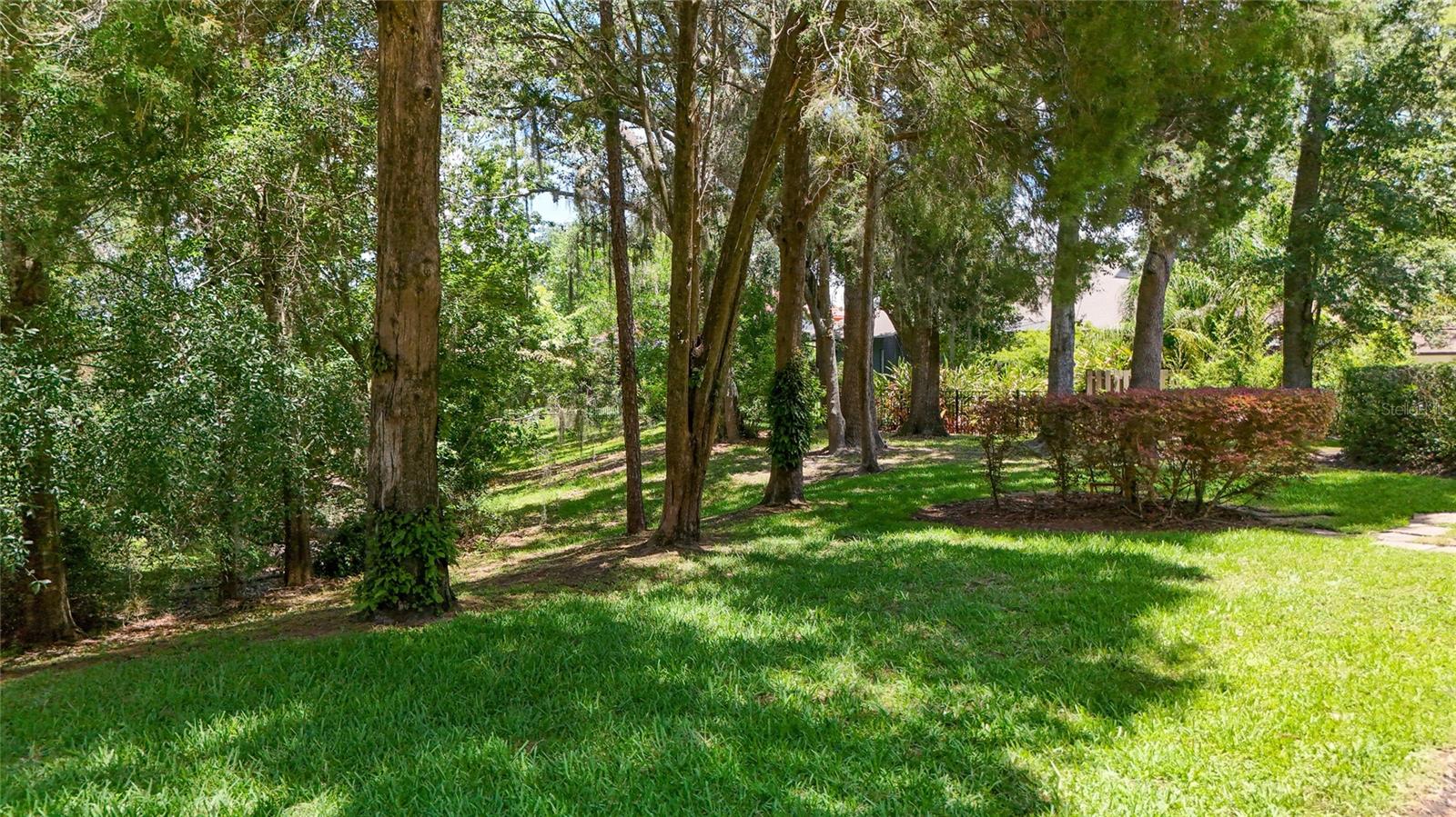 Image 3 of 67 For 1903 Curry Road