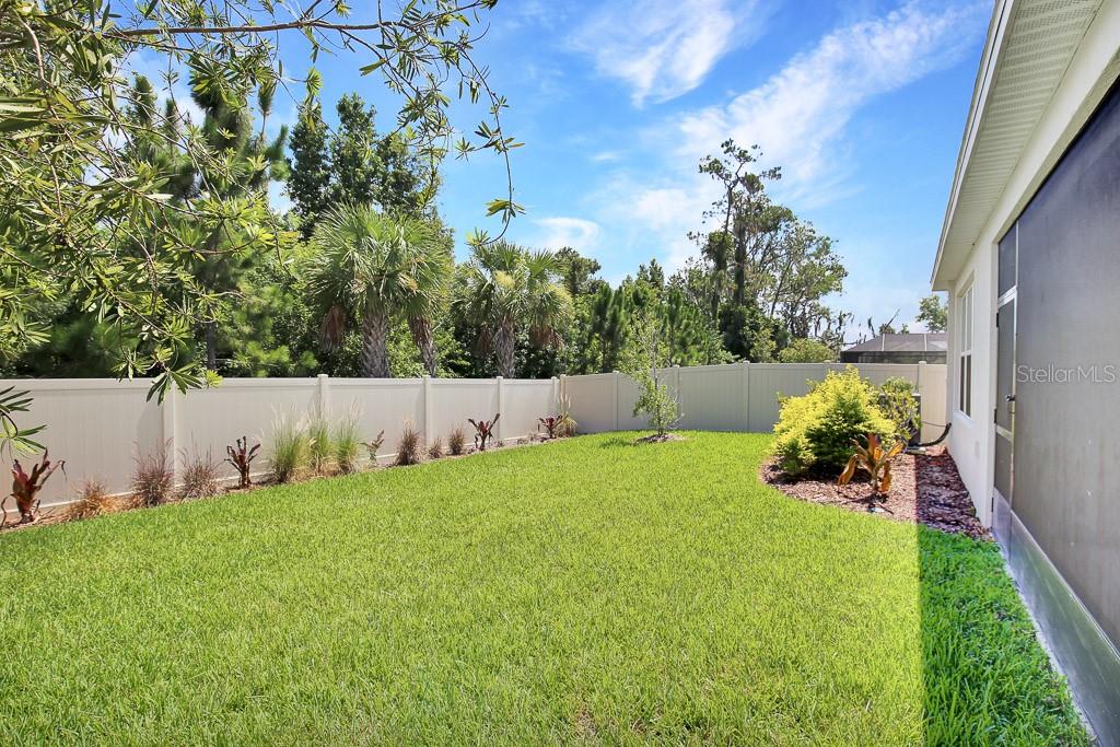 Image 28 of 30 For 10367 Boyette Brook Street