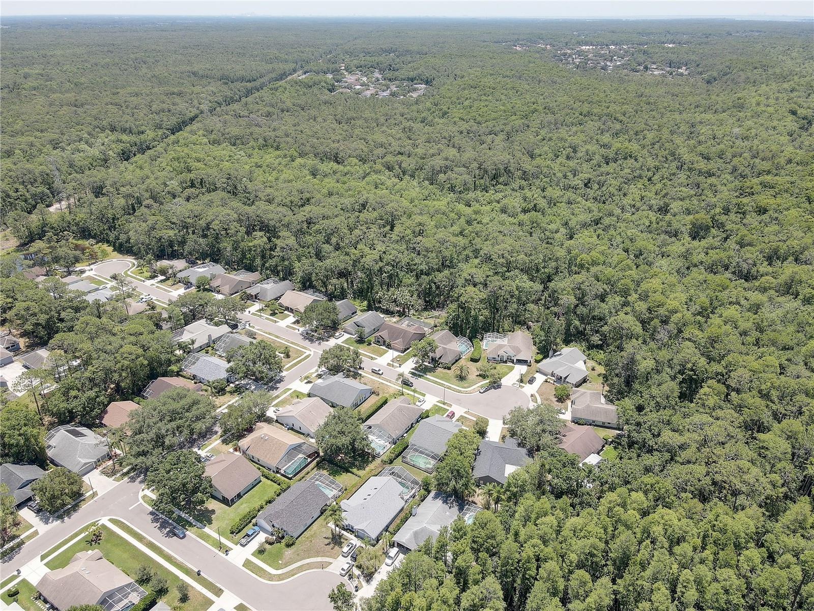 Image 42 of 43 For 3338 Laurelwood Court