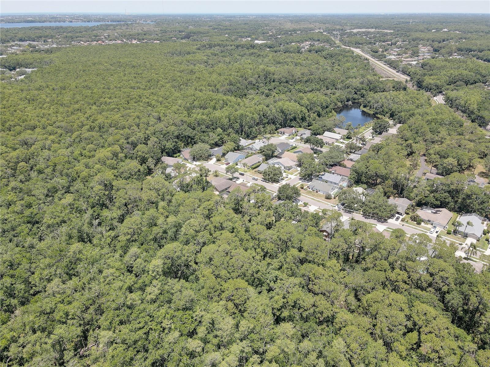 Image 43 of 43 For 3338 Laurelwood Court