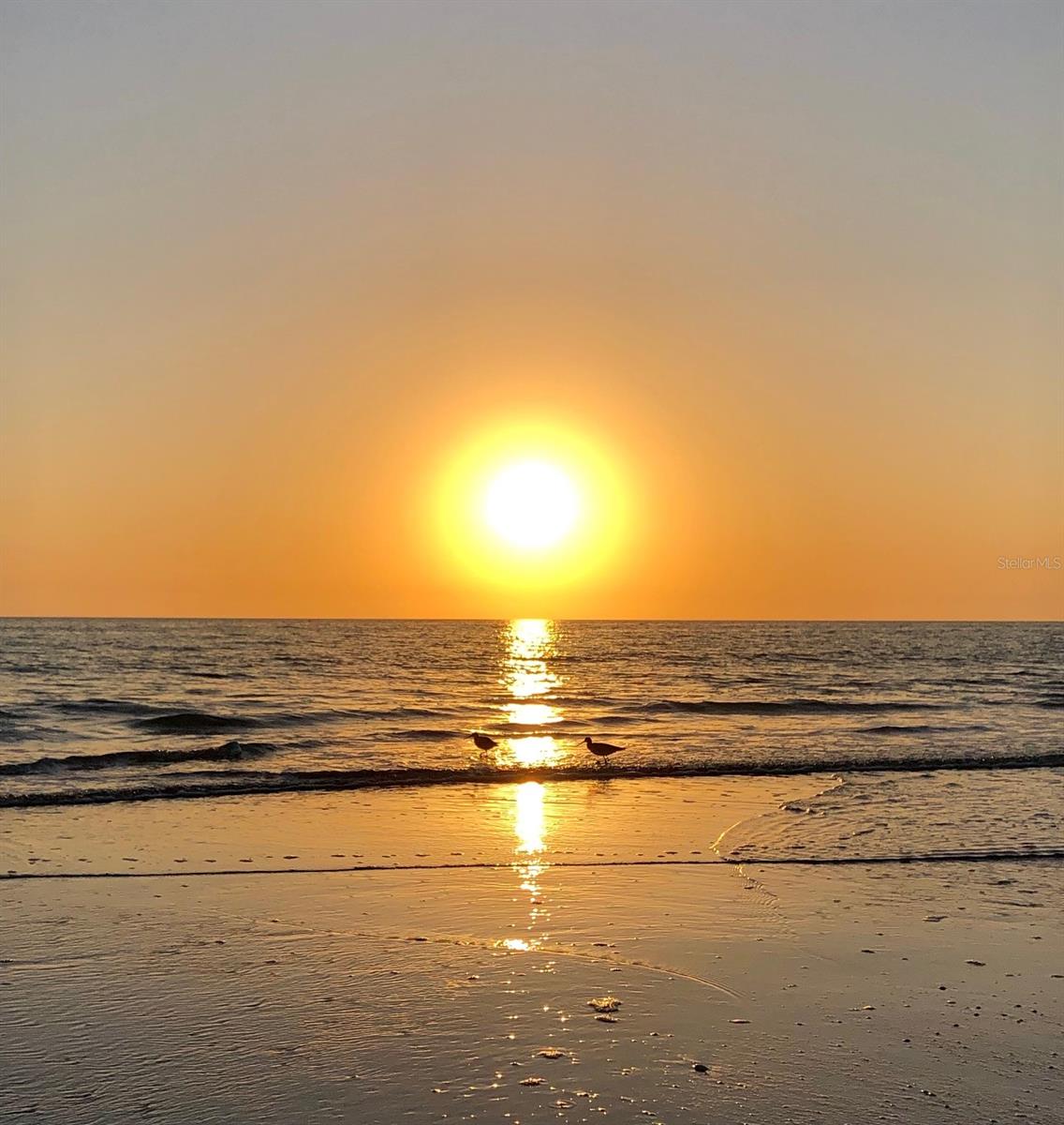 Image 41 of 41 For 13720 Gulf Boulevard 302