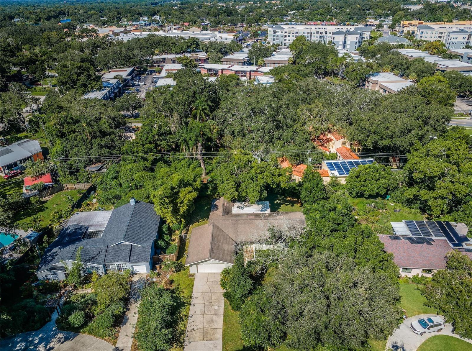 Image 3 of 81 For 209 Greenfield Avenue
