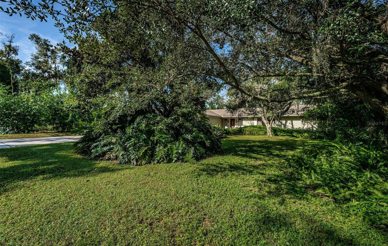 Image 4 of 81 For 209 Greenfield Avenue