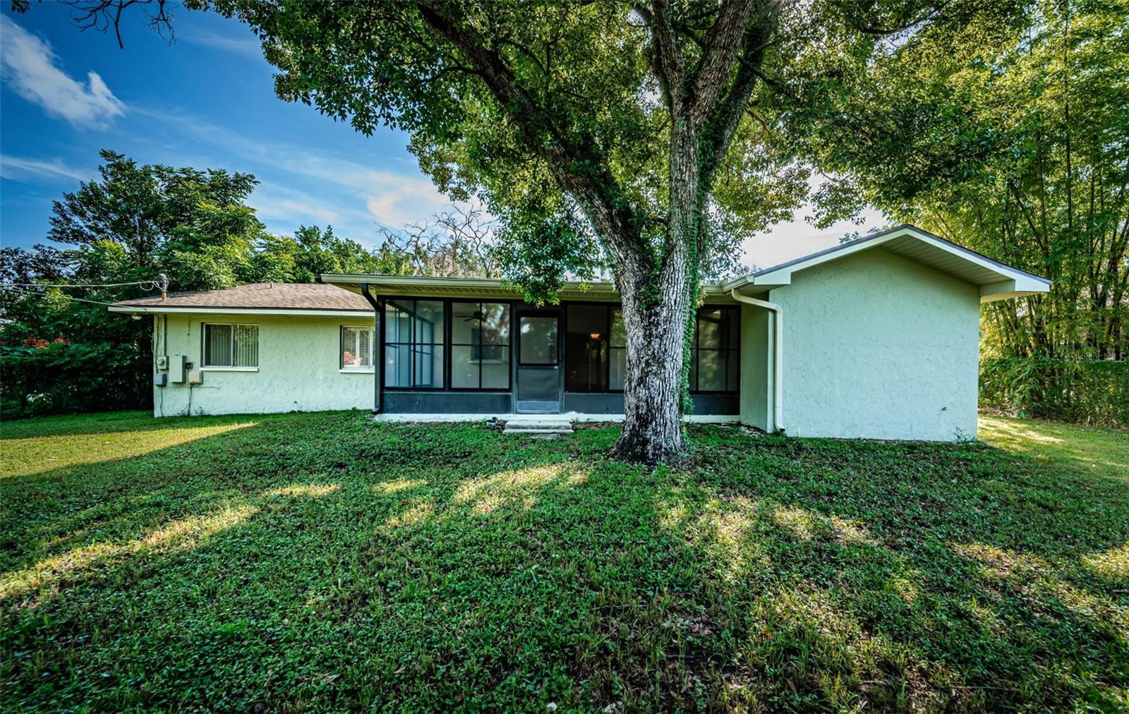 Image 61 of 81 For 209 Greenfield Avenue