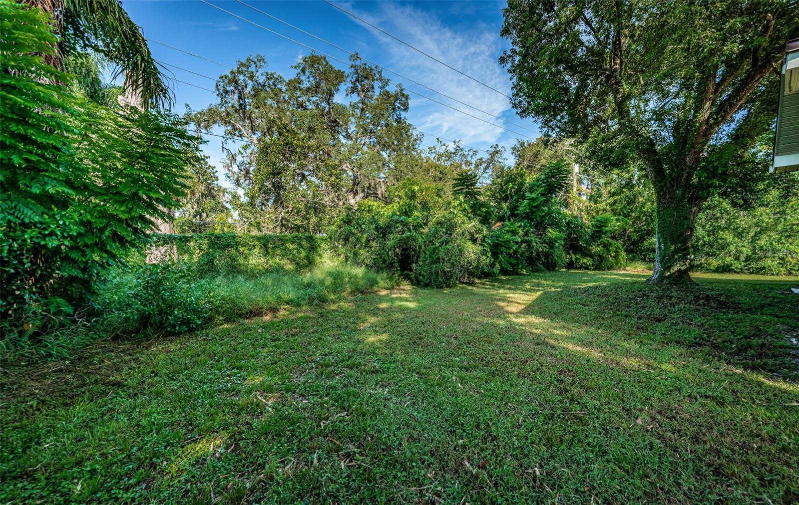 Image 64 of 81 For 209 Greenfield Avenue