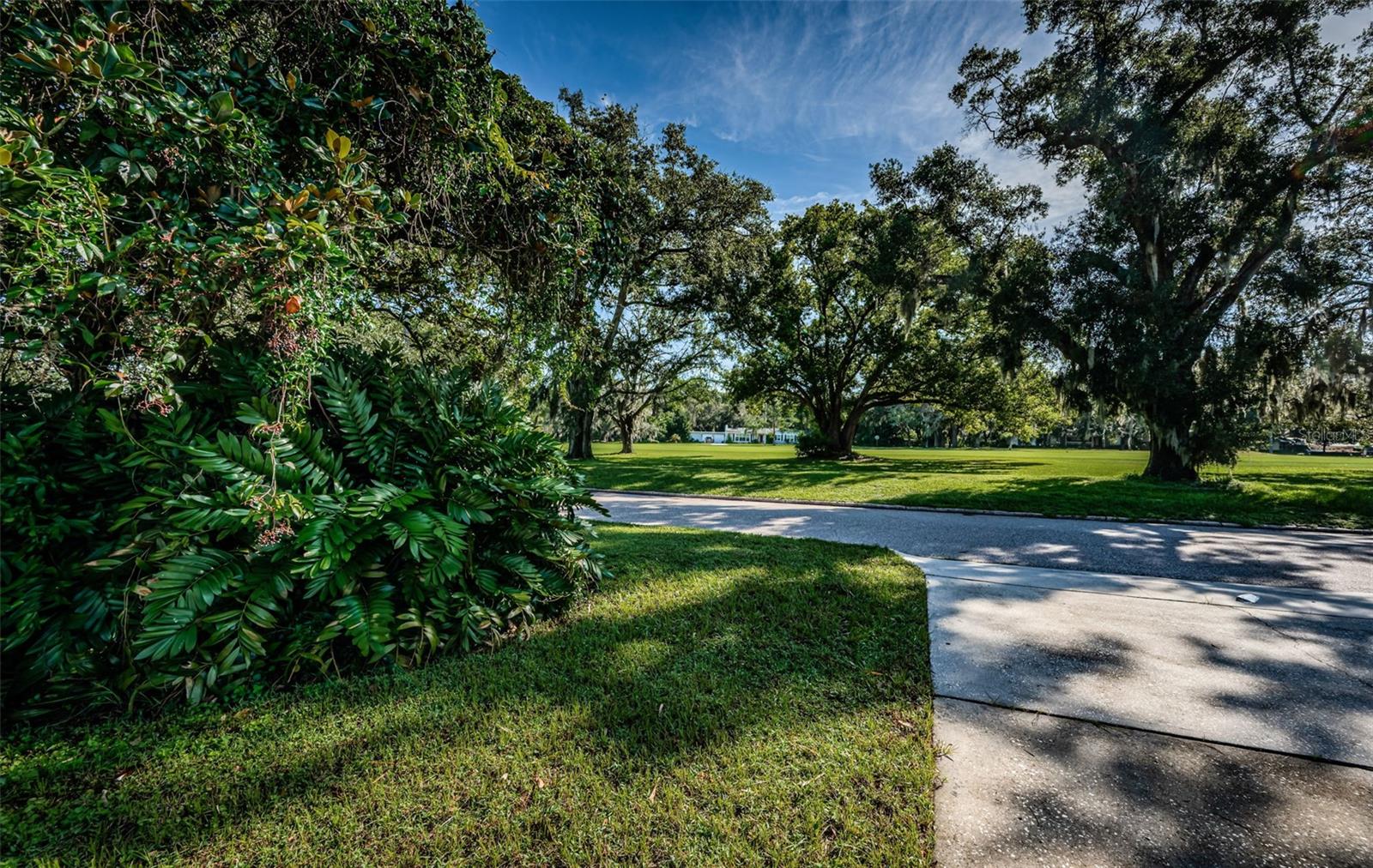 Image 65 of 81 For 209 Greenfield Avenue