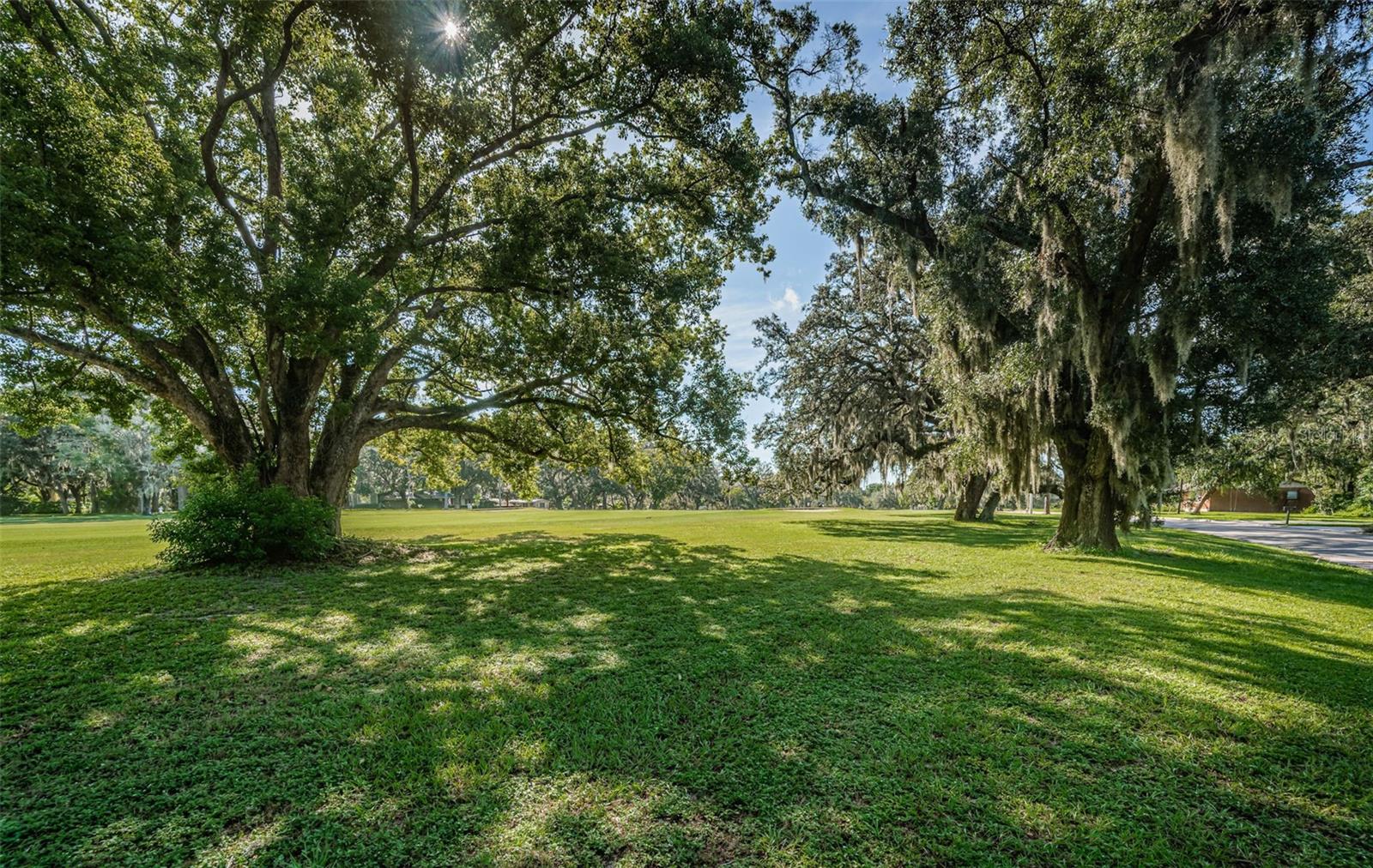 Image 66 of 81 For 209 Greenfield Avenue