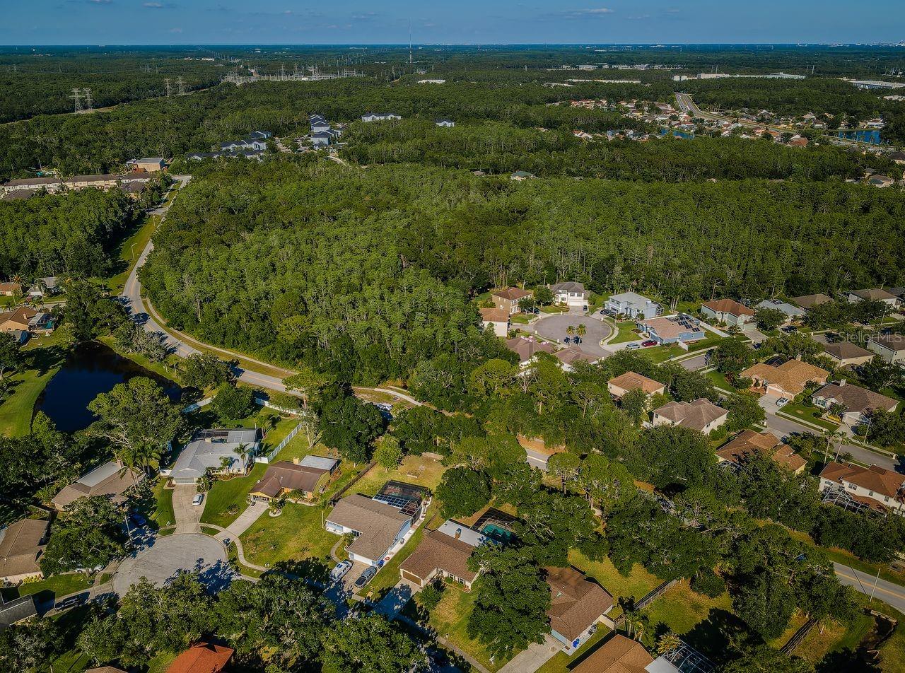 Image 49 of 71 For 455 Cypress Lake Court