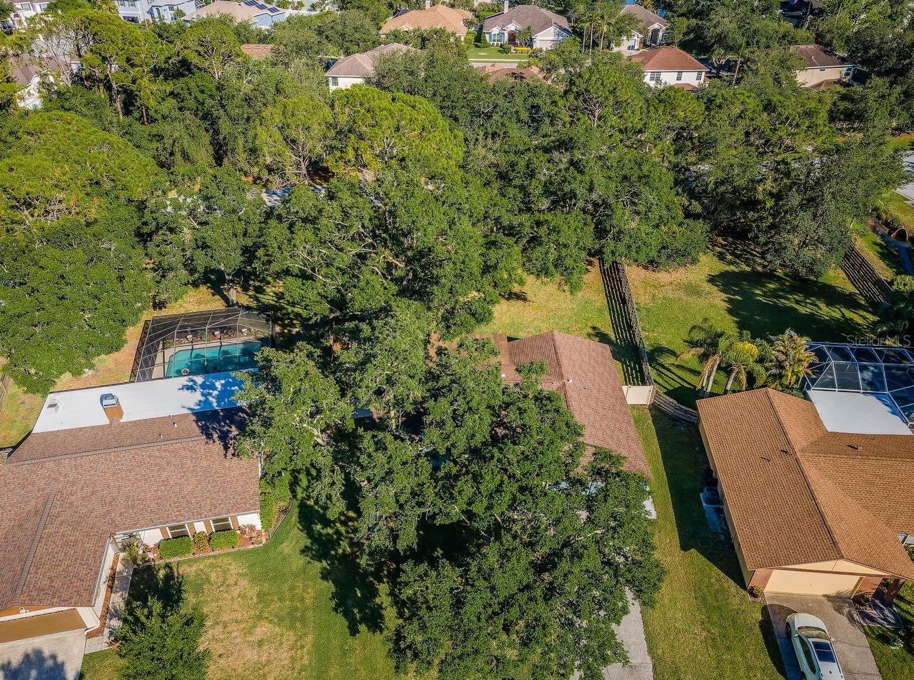 Image 50 of 71 For 455 Cypress Lake Court