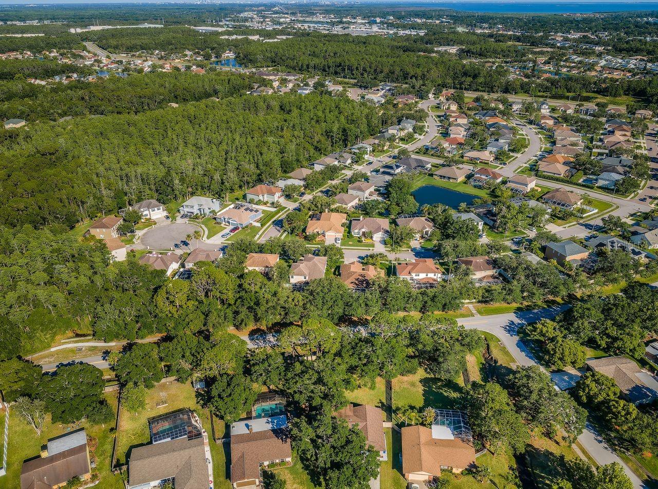 Image 51 of 71 For 455 Cypress Lake Court
