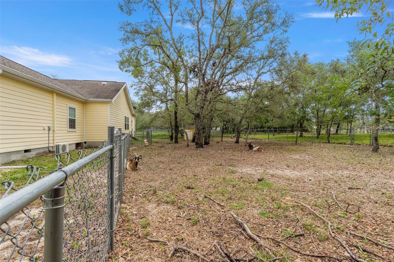 Image 37 of 69 For 12253 Eskimo Curlew Road