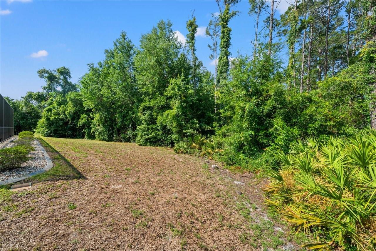 Listing photo id 69 for 11137 Woodland Waters Boulevard