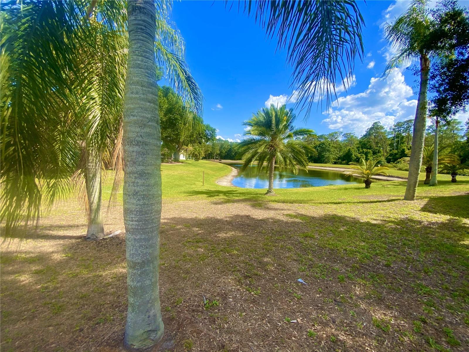 Image 10 of 10 For 19709 Wyndham Lakes Dr