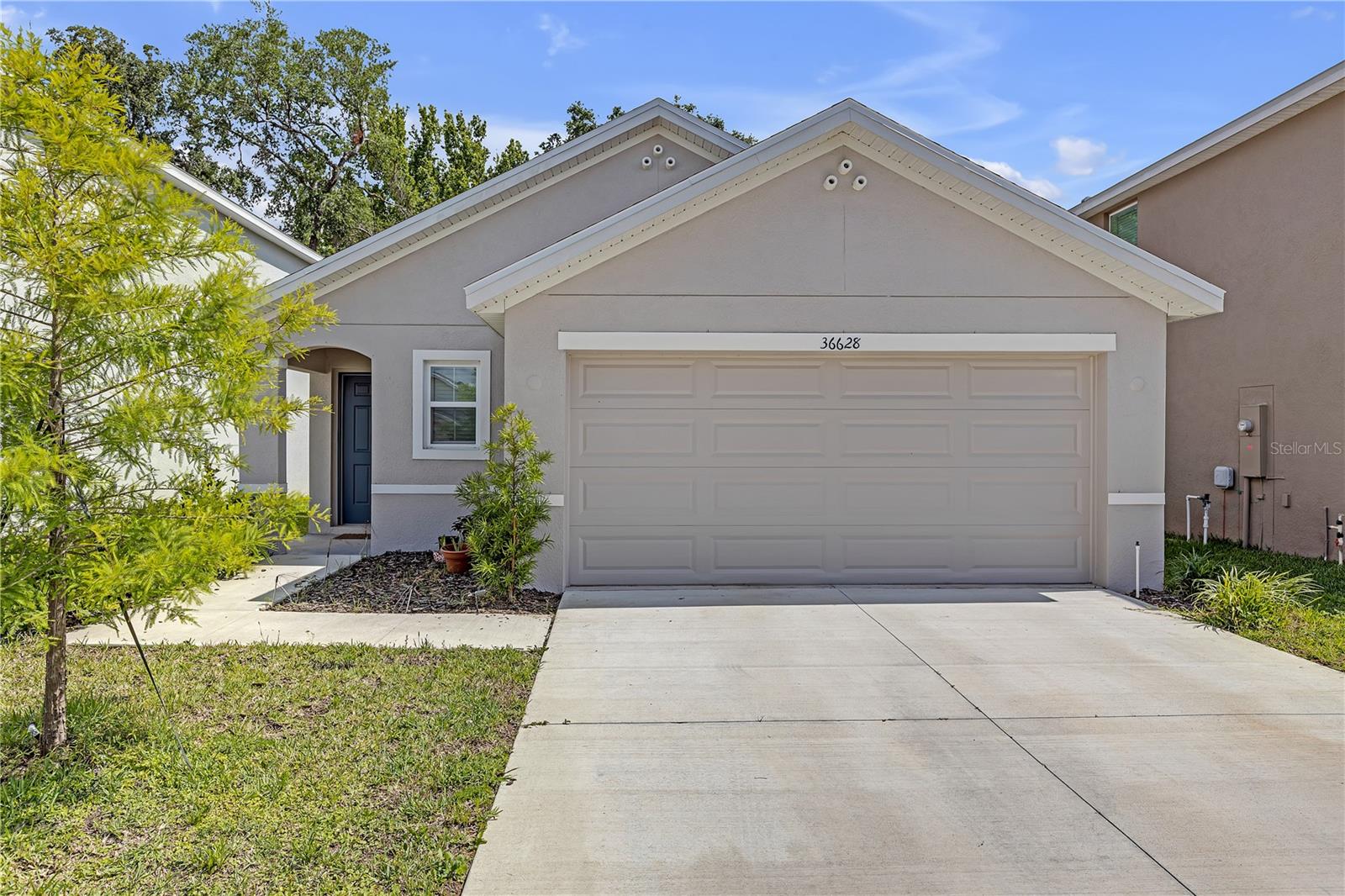 Details for 36628 Spanish Rose Drive, DADE CITY, FL 33525