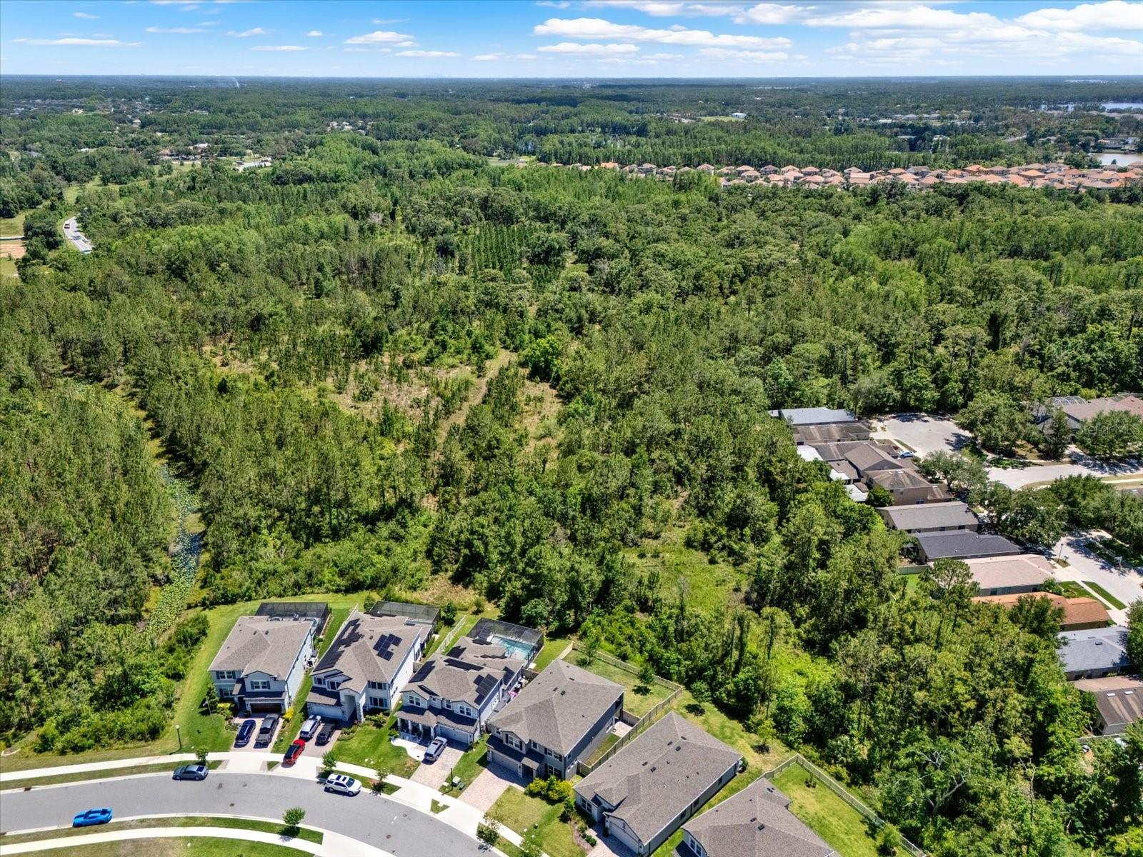 Listing photo id 45 for 22368 Woodmen Hall Drive