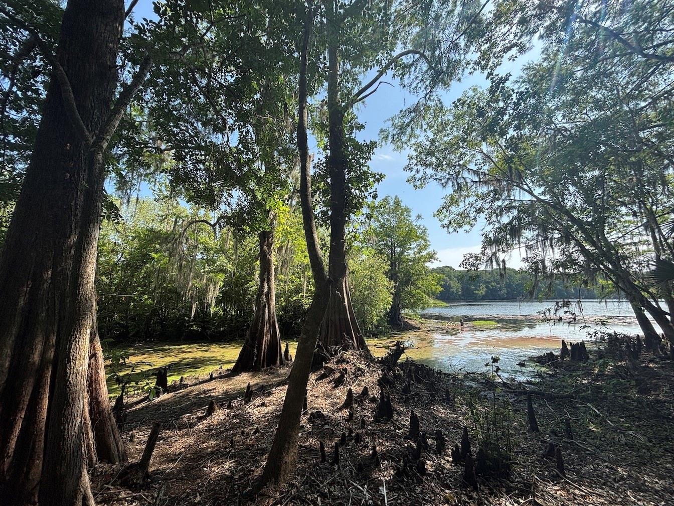 Details for 13517 Shawnee Trail, INVERNESS, FL 34450