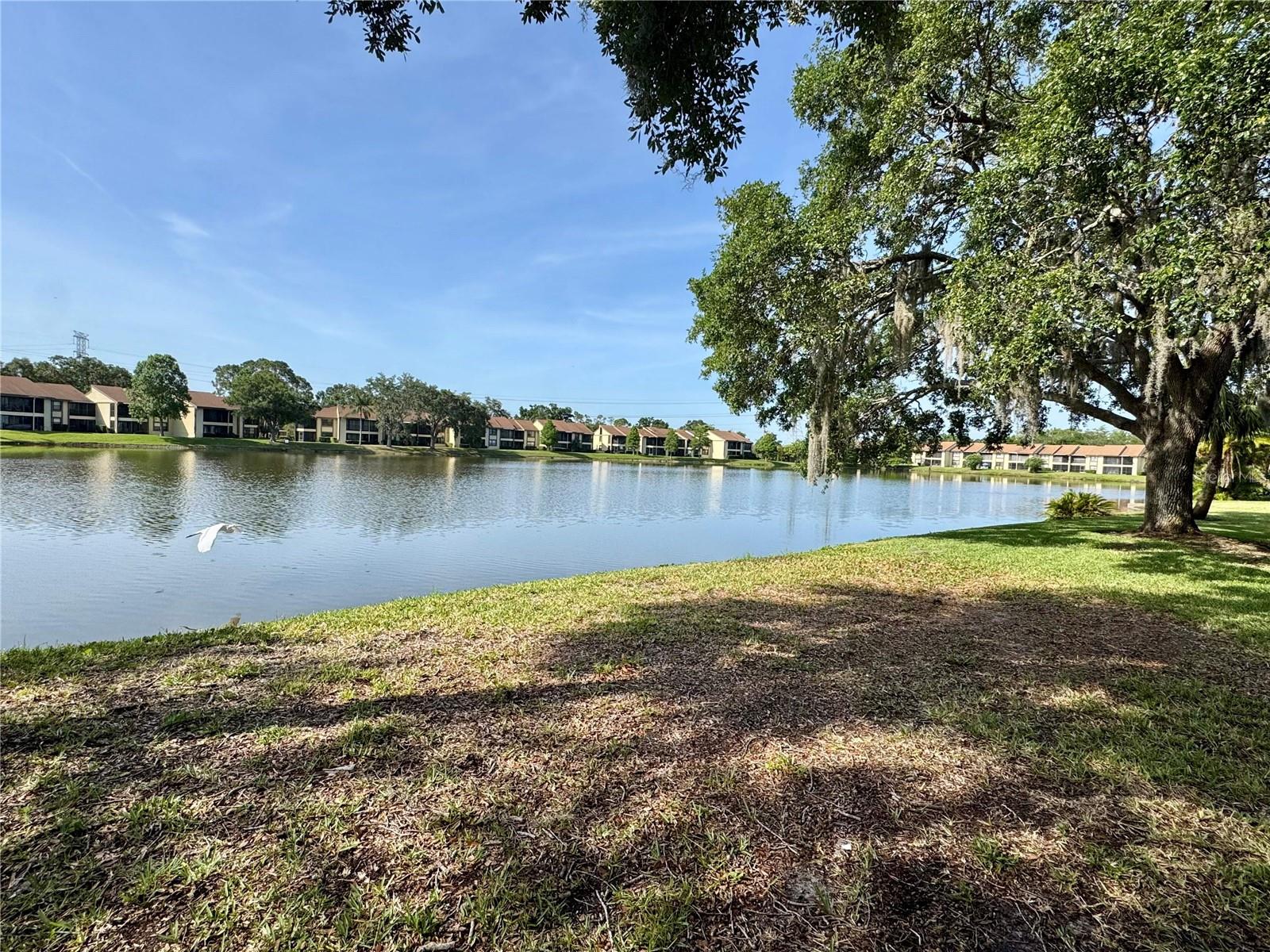 Image 3 of 14 For 220 Cypress Lane 220