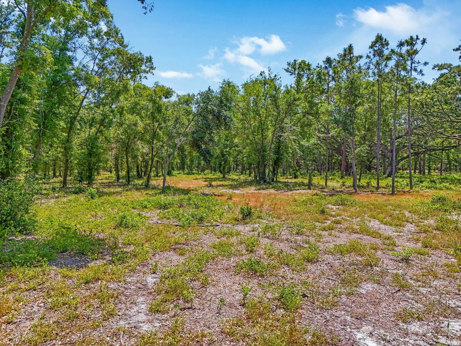 Details for Just Our Lane, SEFFNER, FL 33584