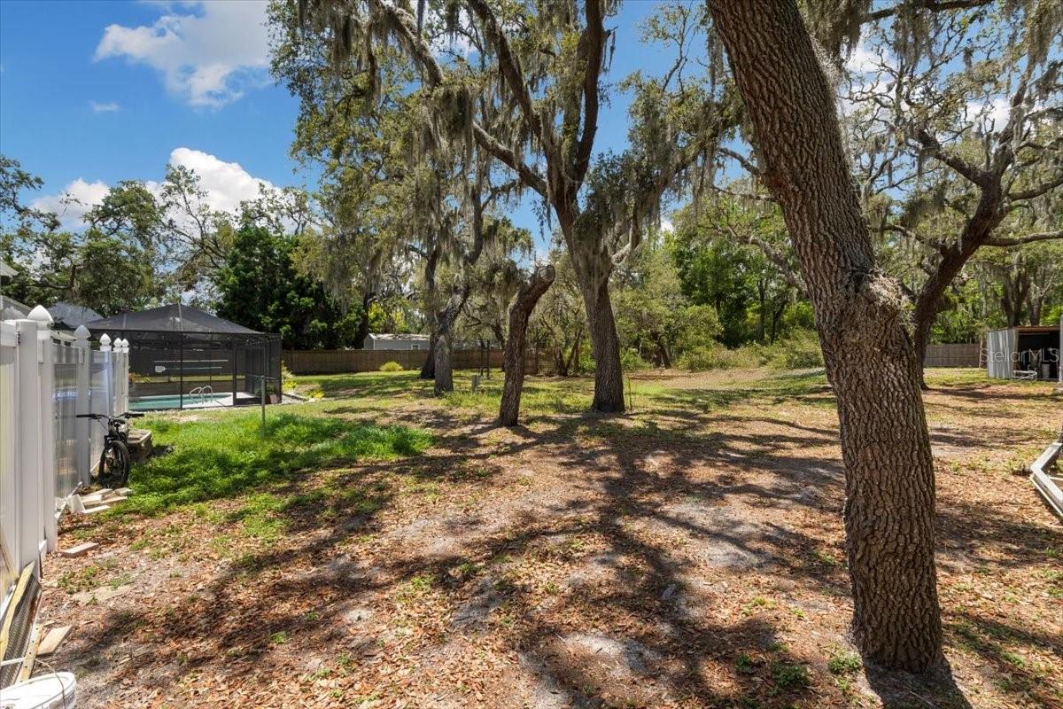 Listing photo id 58 for 11207 Donneymoor Drive