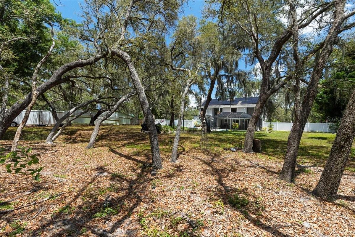 Listing photo id 64 for 11207 Donneymoor Drive