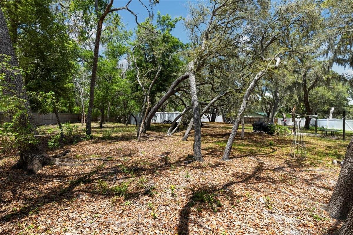 Listing photo id 65 for 11207 Donneymoor Drive