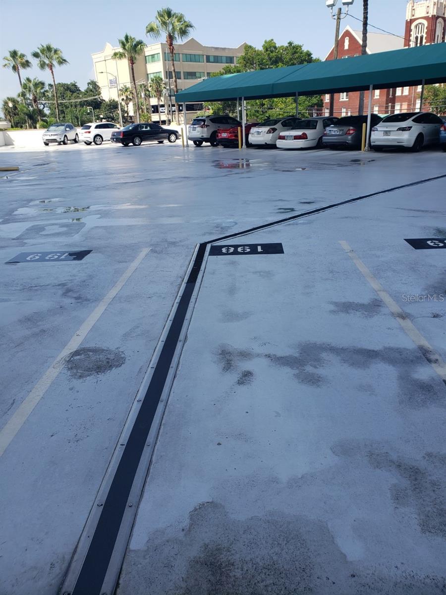 Image 62 of 64 For 345 Bayshore Boulevard 502