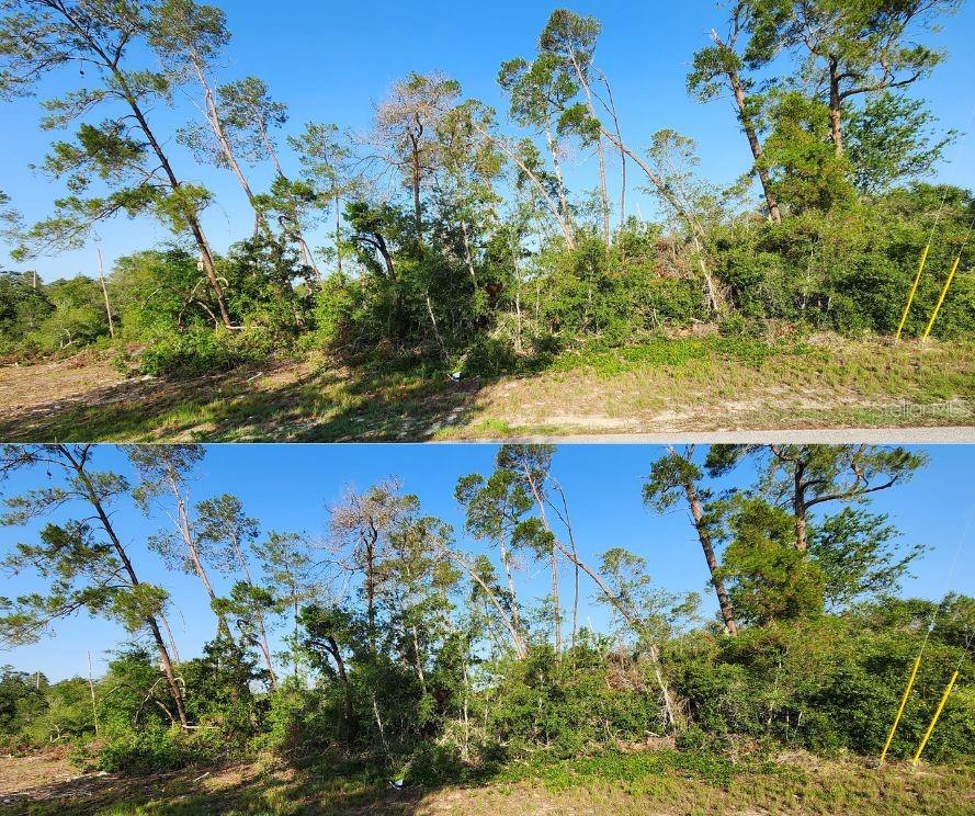 Image 2 of 4 For 5417 Moongate Road