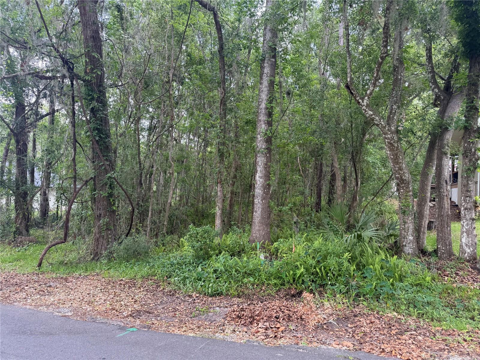 Details for Rogers Avenue, BROOKSVILLE, FL 34601
