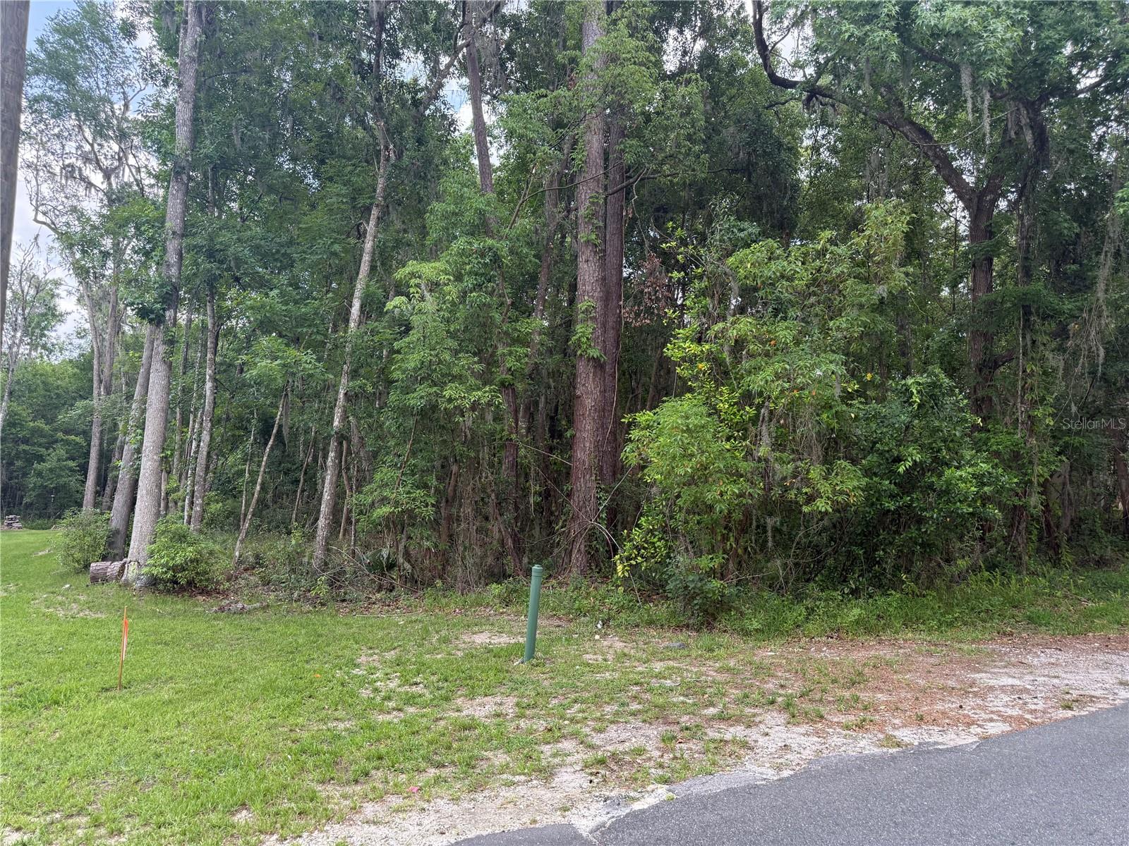 Image 5 of 6 For Rogers Avenue