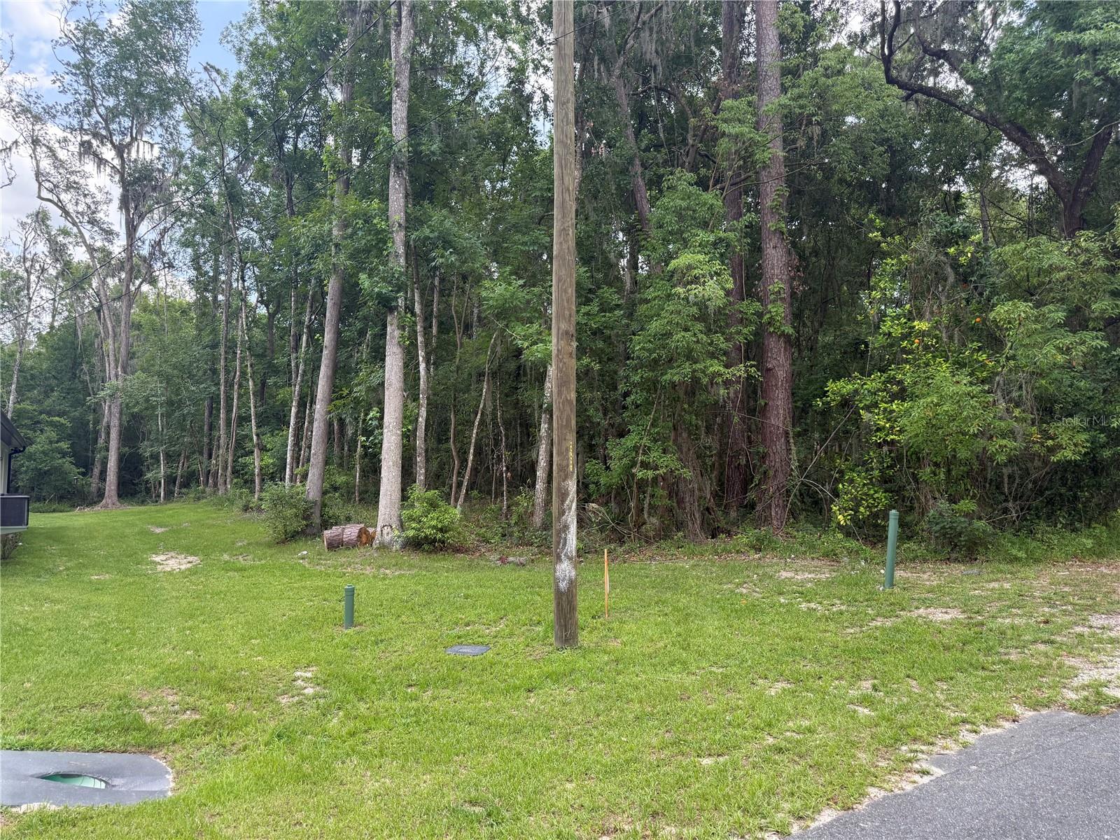 Image 6 of 6 For Rogers Avenue